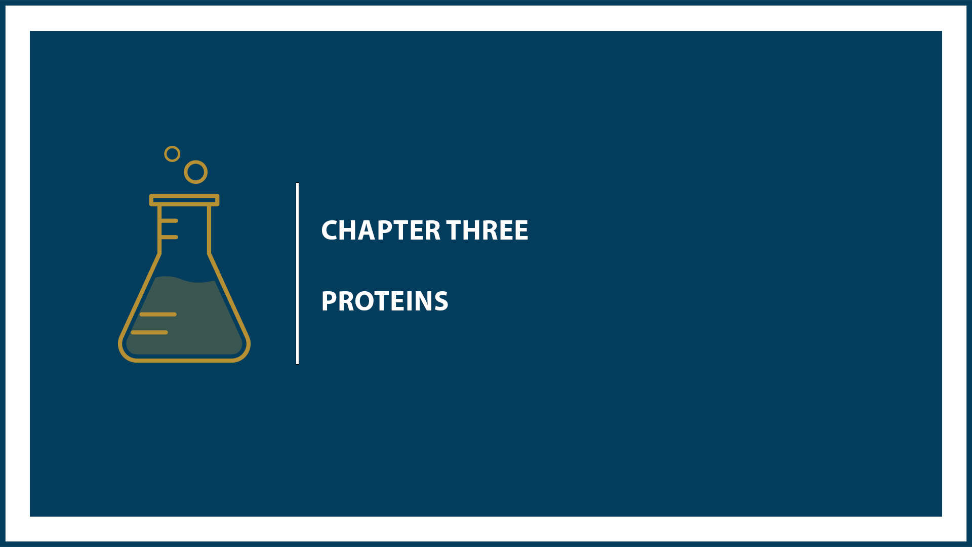 Chapter 3: Proteins